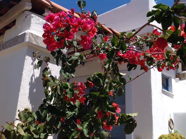 Villaggio Imbesi Villa San Giovanni Dış mekan fotoğraf